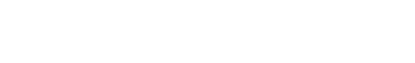 light logo